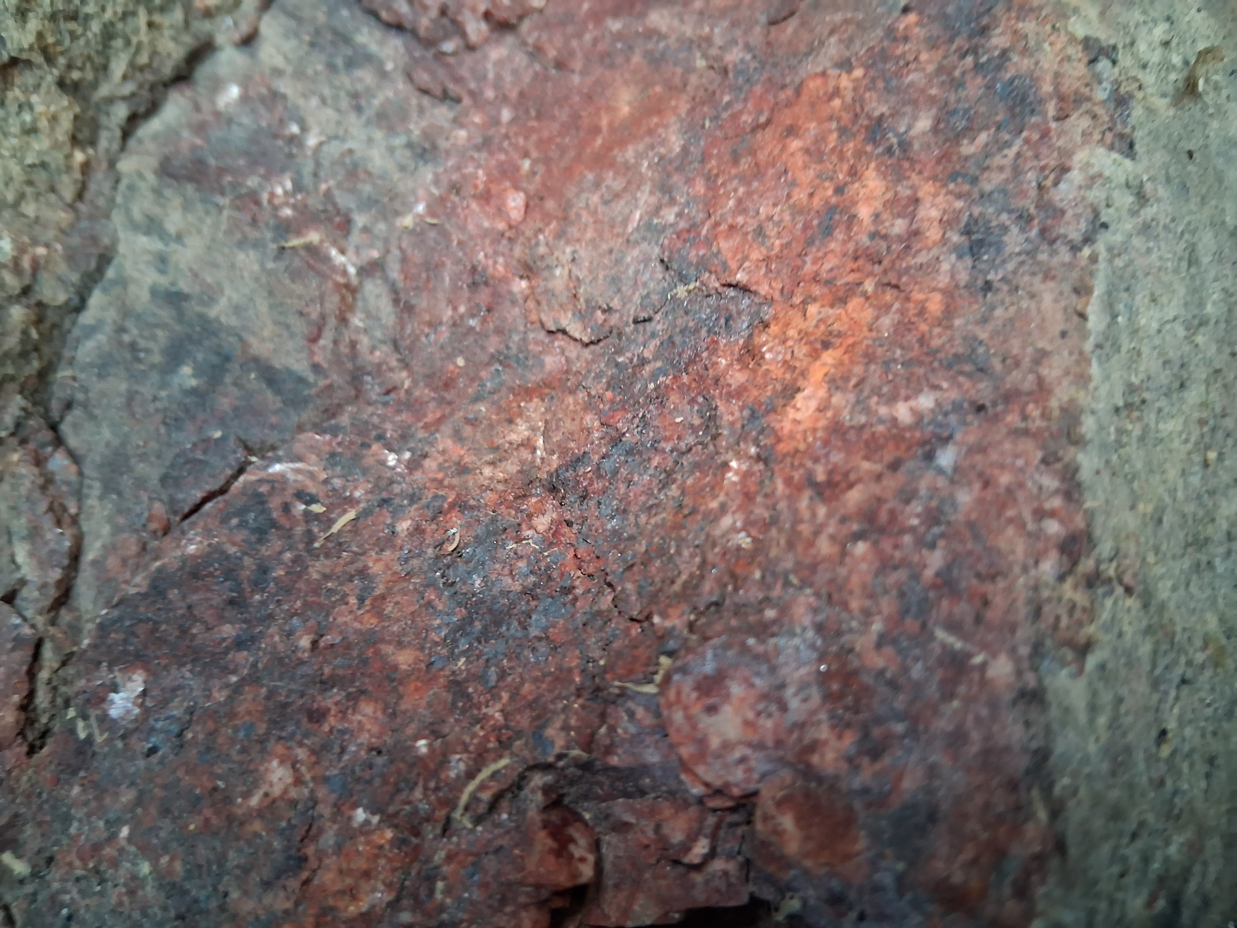Rock Sample Close-up